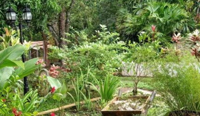 Dream House Homestay Minca