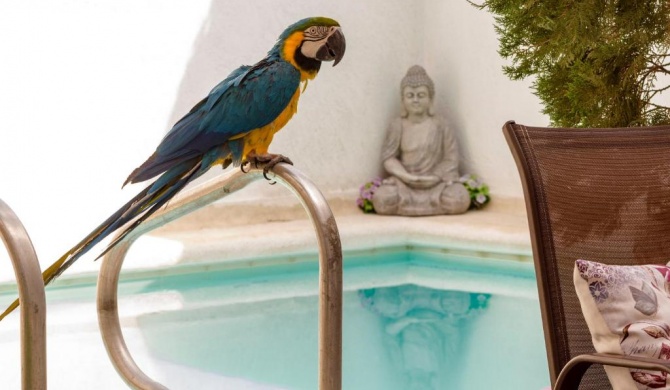 Maria's House - Boutique Hotel